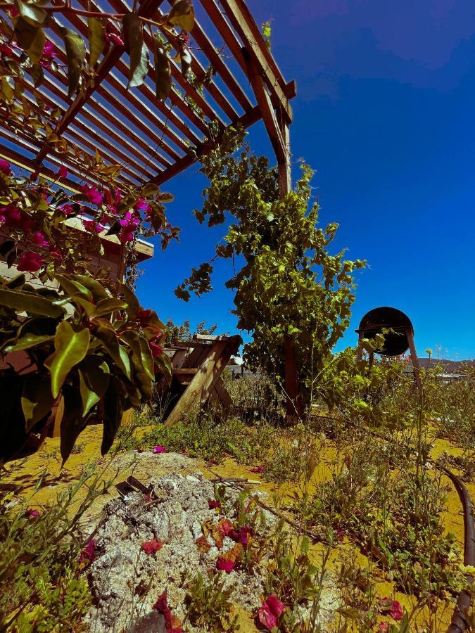 Sn Tony Hotel & Spa Villa de Juarez Esterno foto